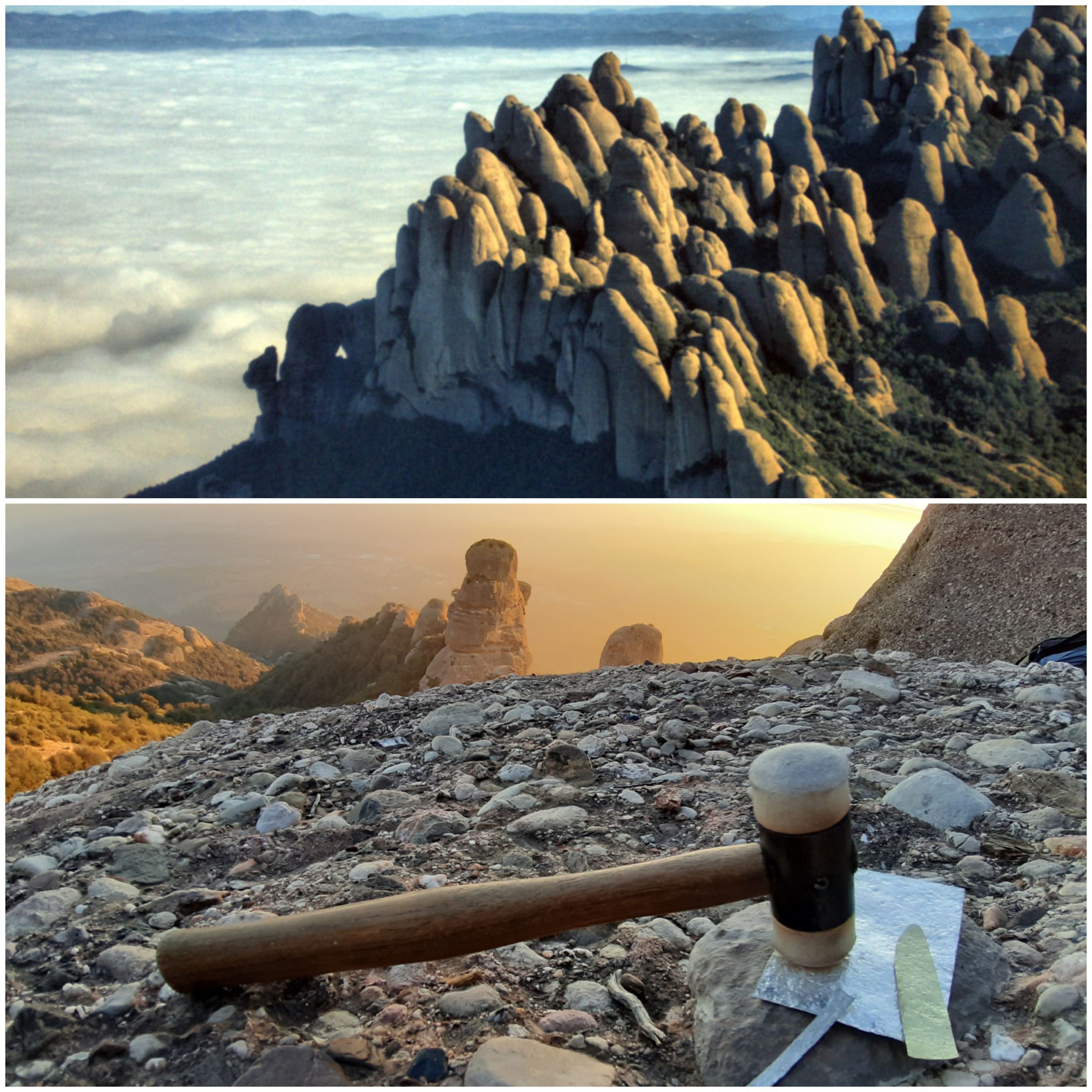 Col·leccions singulars