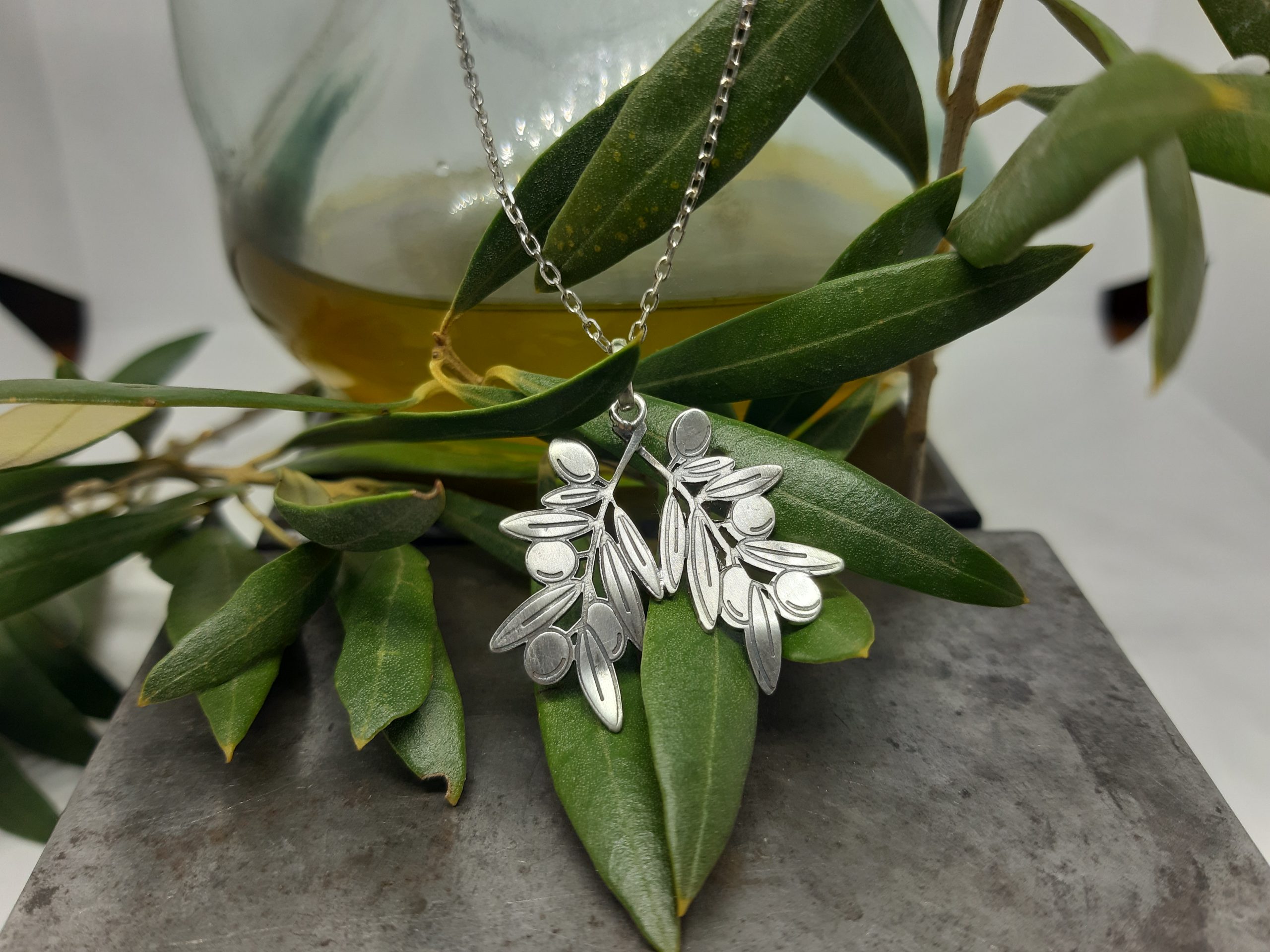 Penjoll Plata branques d'Olivera.